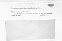 Image Associated With the Occurence